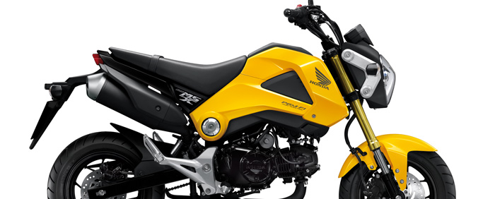 Der Honda MSX125 - Modell 2013